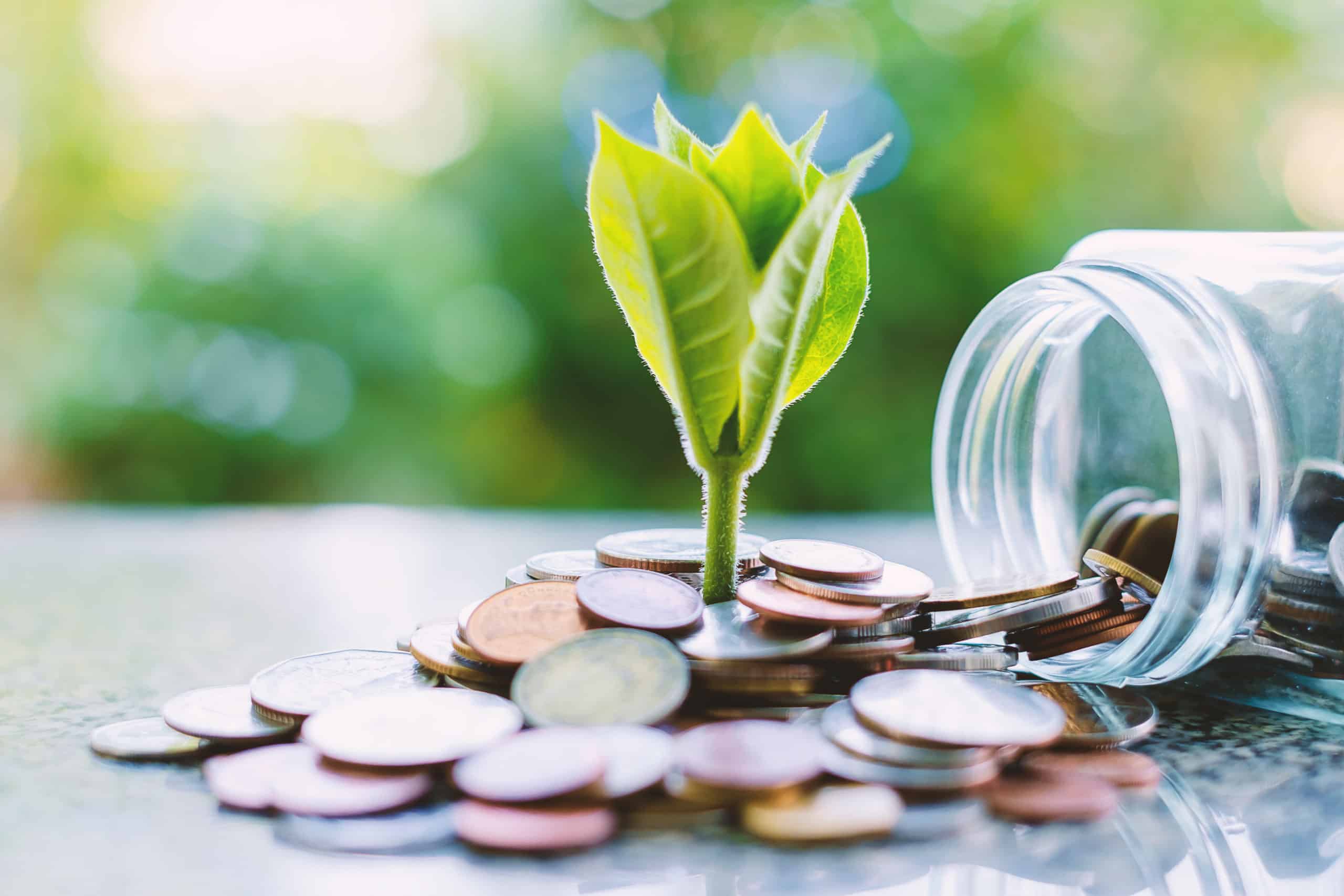 A 5% Dividend Stock Paying $39.30 Every Month