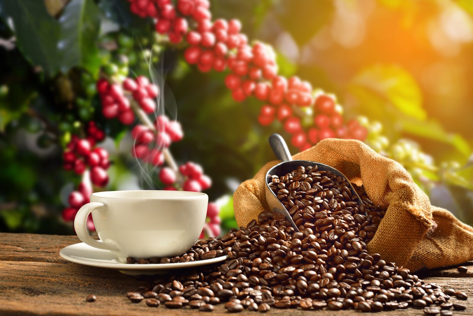 Coffee Prices Jump on Slow Pace of Brazil Coffee Harvest