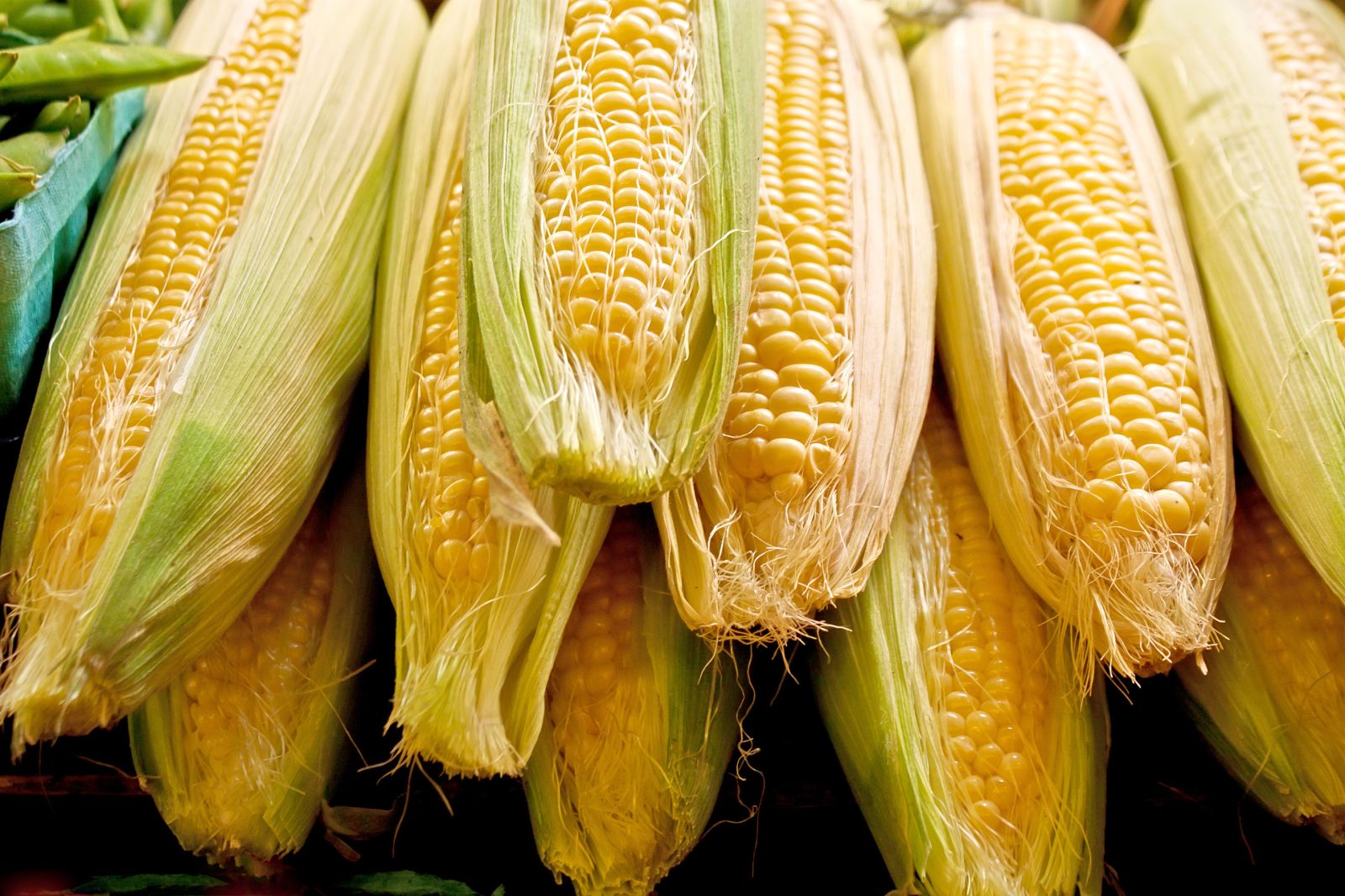 Corn Shrugging Off Early Tuesday Weakness for Midday Gains