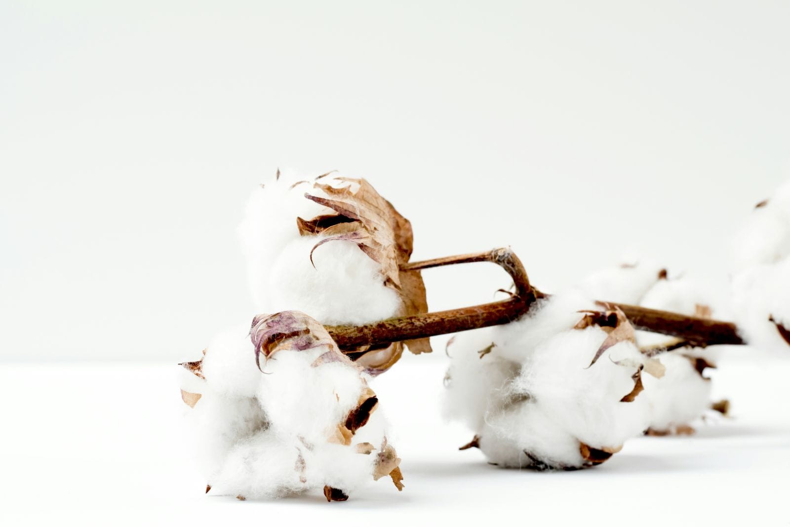 Cotton Futures Fade into the Weekend