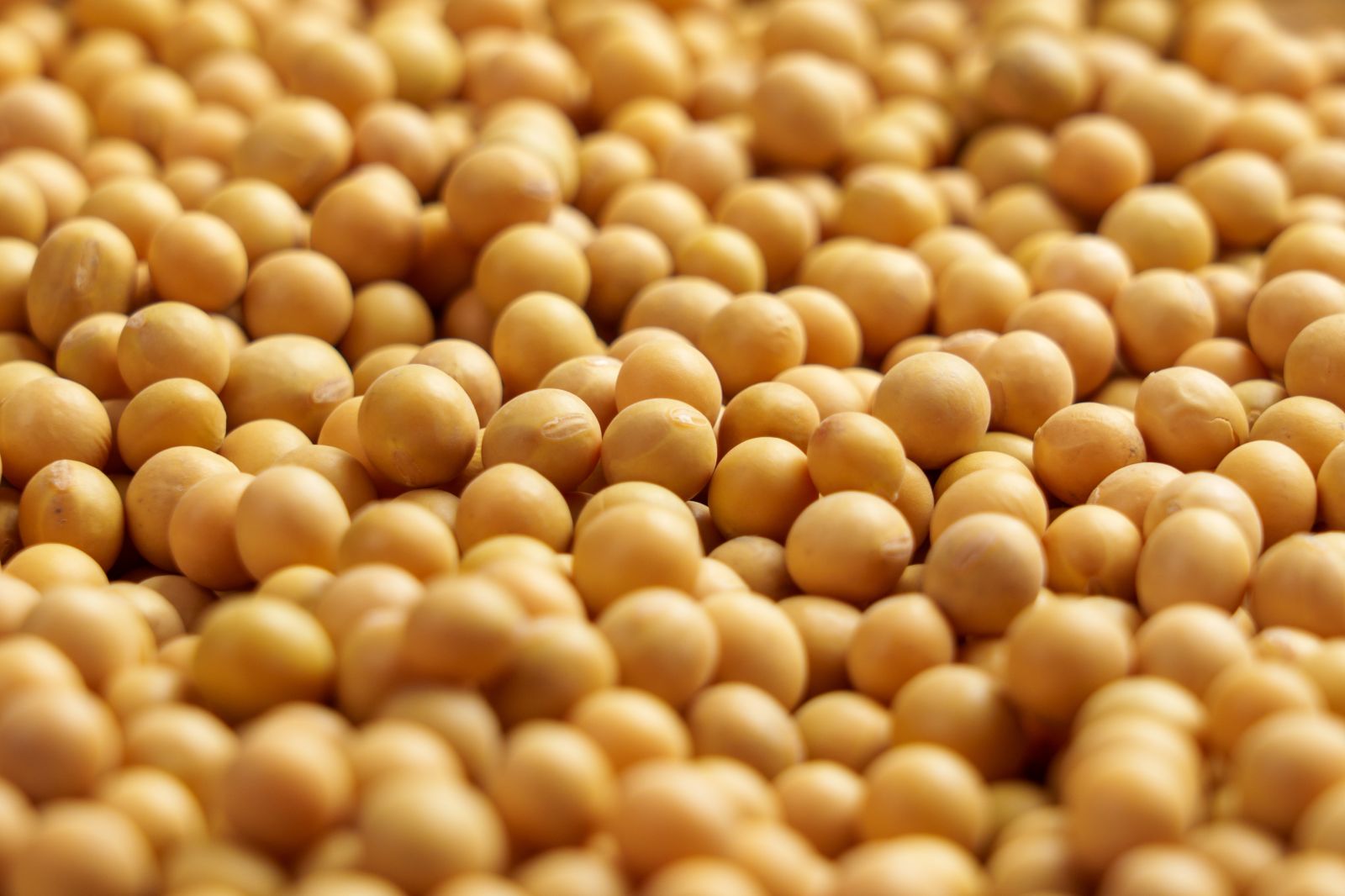 Soybeans Give Back Some Recent Gains on Thursday