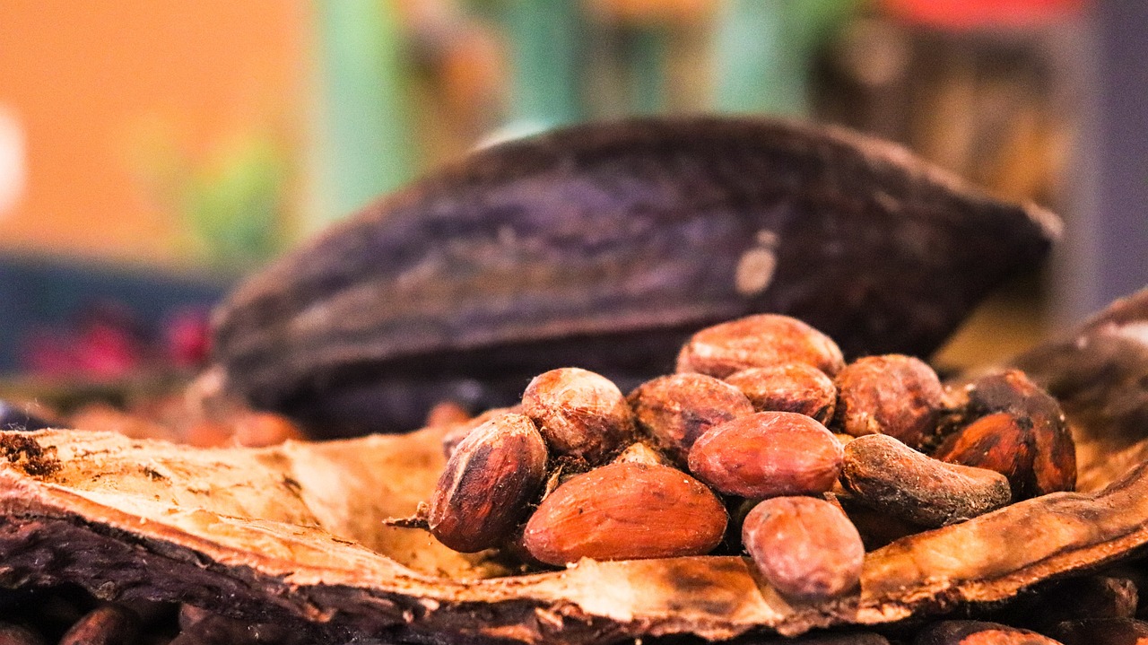 West African Weather Risks Underpin Cocoa Prices