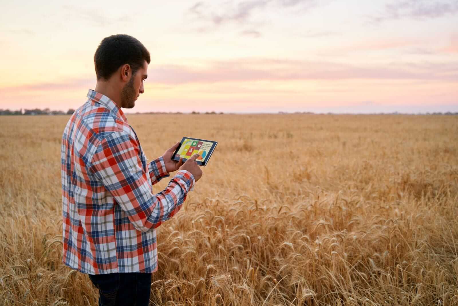 Wheat Corrects Lower with Modest Tuesday Losses